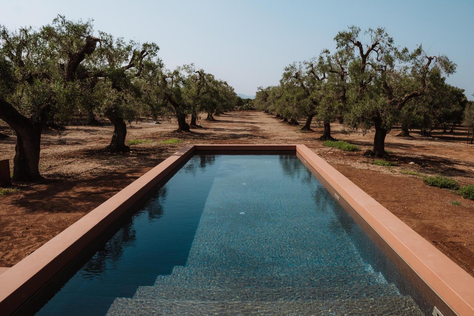 Ozio - Il Trullo Rosso Bed & Breakfast Fasano Exterior photo